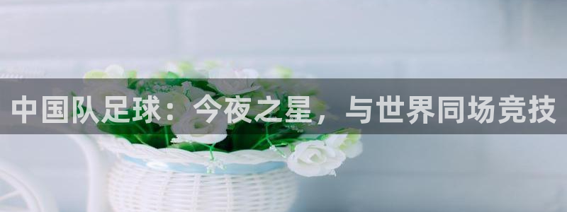 中国队足球：今夜之星，与世界同场竞技