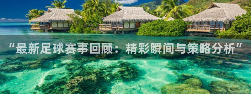“最新足球赛事回顾：精彩瞬间与策略分析”