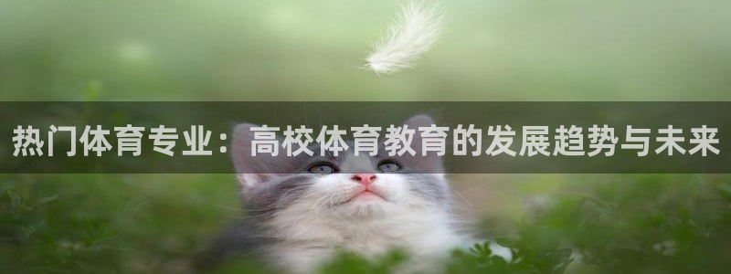 热门体育专业：高校体育教育的发展趋势与未来