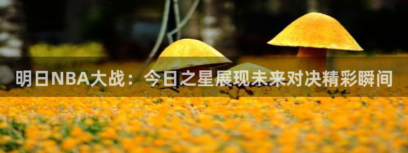 明日NBA大战：今日之星展现未来对决精彩瞬间