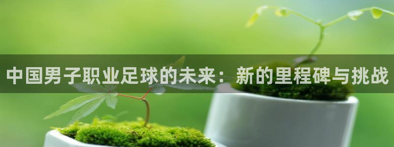 中国男子职业足球的未来：新的里程碑与挑战