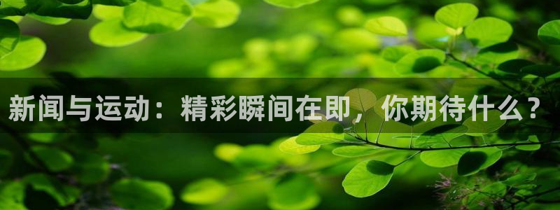 新闻与运动：精彩瞬间在即，你期待什么？