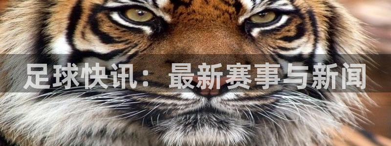 足球快讯：最新赛事与新闻