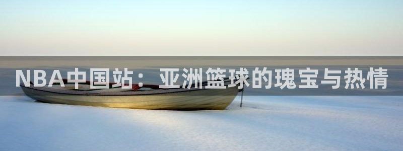 NBA中国站：亚洲篮球的瑰宝与热情