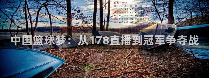 中国篮球梦：从178直播到冠军争夺战