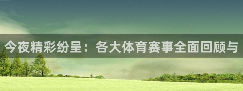 今夜精彩纷呈：各大体育赛事全面回顾与