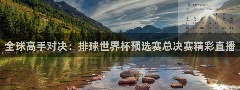 全球高手对决：排球世界杯预选赛总决赛精彩直播