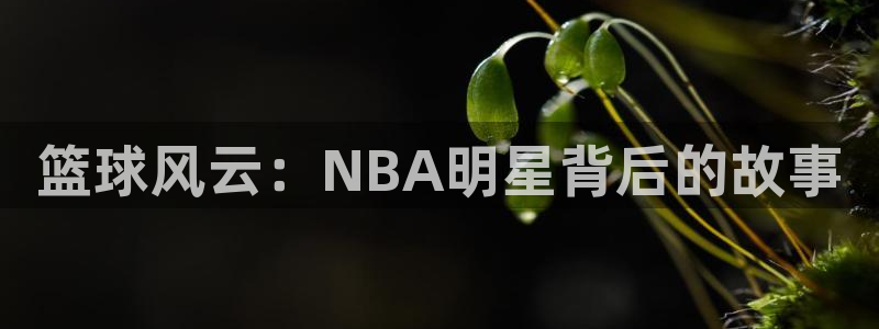 篮球风云：NBA明星背后的故事