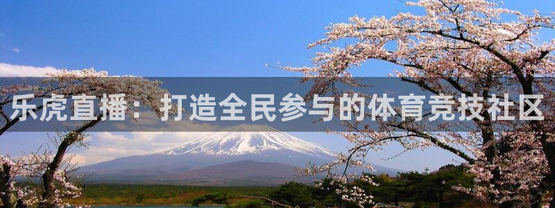 乐虎直播：打造全民参与的体育竞技社区
