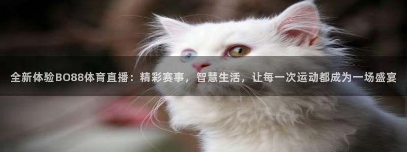 全新体验BO88体育直播：精彩赛事，智慧生活，让每一次运动都成为一场盛宴