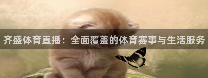 齐盛体育直播：全面覆盖的体育赛事与生活服务
