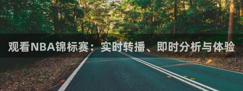 观看NBA锦标赛：实时转播、即时分析与体验