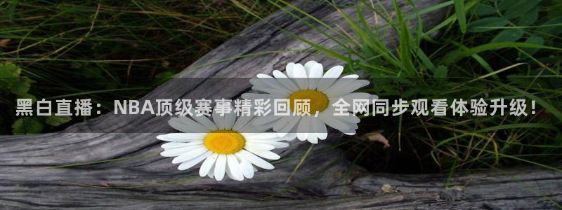 黑白直播：NBA顶级赛事精彩回顾，全网同步观看体验升级！