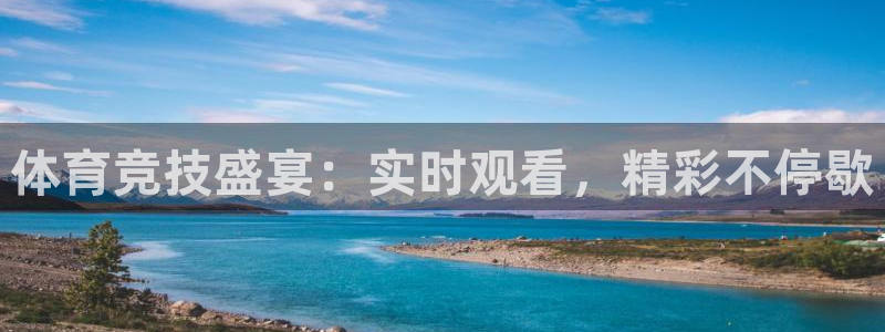 体育竞技盛宴：实时观看，精彩不停歇