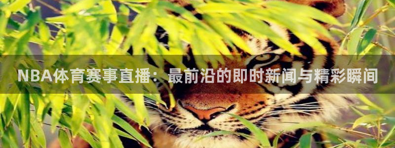 NBA体育赛事直播：最前沿的即时新闻与精彩瞬间