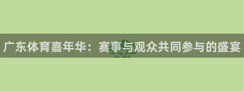 广东体育嘉年华：赛事与观众共同参与的盛宴