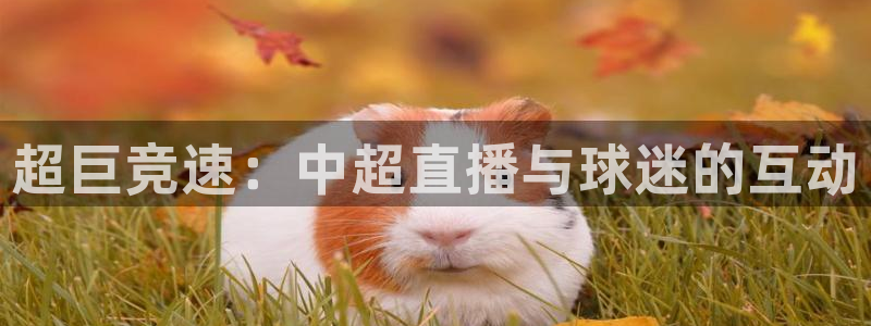 超巨竞速：中超直播与球迷的互动