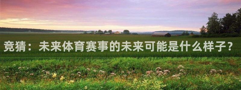 竞猜：未来体育赛事的未来可能是什么样子？