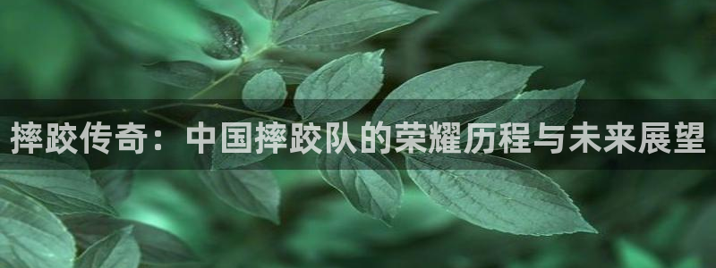摔跤传奇：中国摔跤队的荣耀历程与未来展望