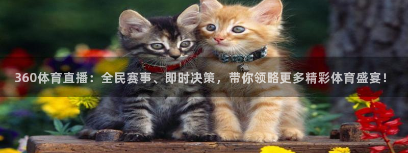 360体育直播：全民赛事、即时决策，带你领略更多精彩体育盛宴！