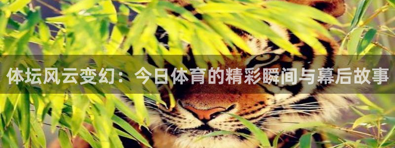 体坛风云变幻：今日体育的精彩瞬间与幕后故事