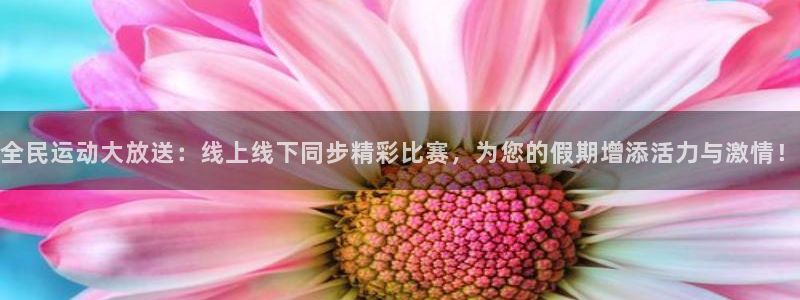 全民运动大放送：线上线下同步精彩比赛，为您的假期增添活力与激情！