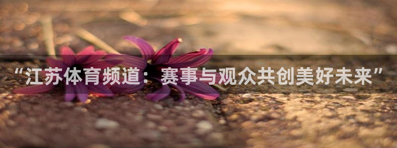 “江苏体育频道：赛事与观众共创美好未来”