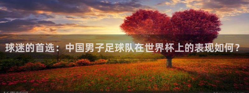 球迷的首选：中国男子足球队在世界杯上的表现如何？