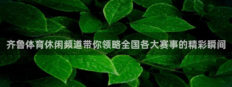 齐鲁体育休闲频道带你领略全国各大赛事的精彩瞬间