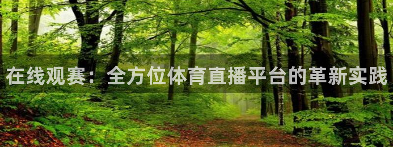 在线观赛：全方位体育直播平台的革新实践