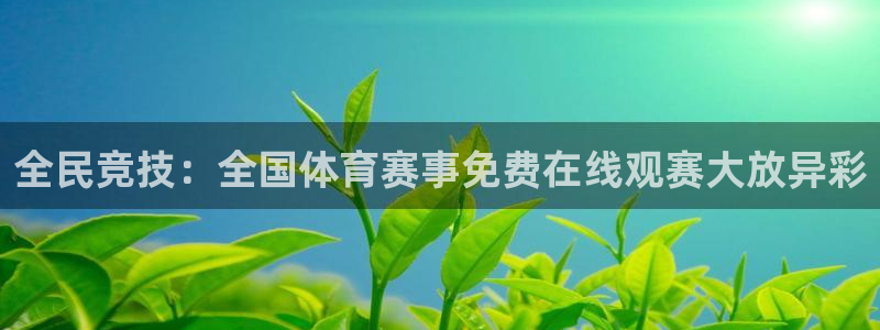 全民竞技：全国体育赛事免费在线观赛大放异彩