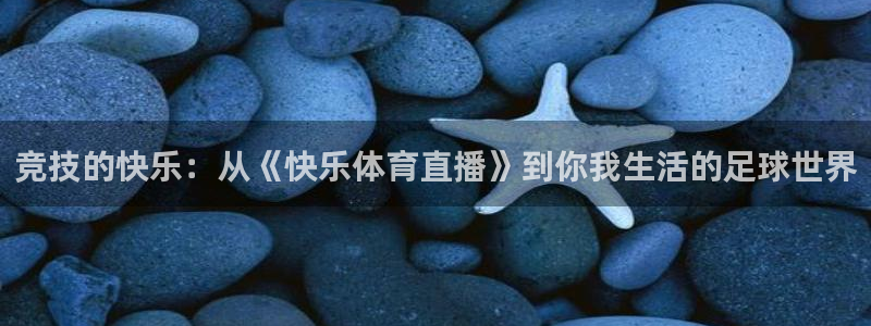 竞技的快乐：从《快乐体育直播》到你我生活的足球世界