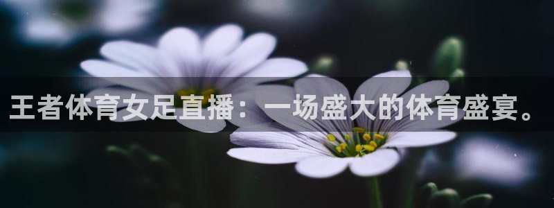 王者体育女足直播：一场盛大的体育盛宴。