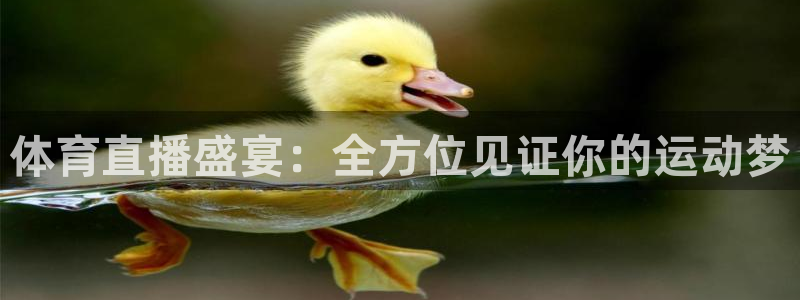 体育直播盛宴：全方位见证你的运动梦