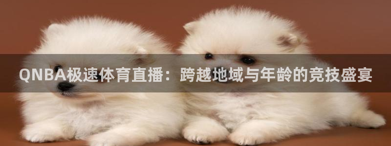 QNBA极速体育直播：跨越地域与年龄的竞技盛宴
