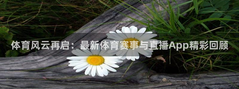 体育风云再启：最新体育赛事与直播App精彩回顾