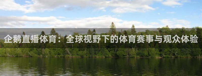 企鹅直播体育：全球视野下的体育赛事与观众体验