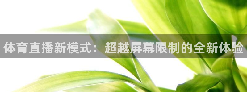 体育直播新模式：超越屏幕限制的全新体验