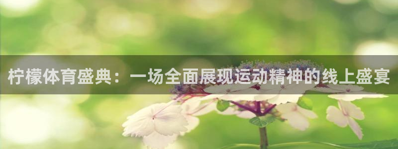 柠檬体育盛典：一场全面展现运动精神的线上盛宴