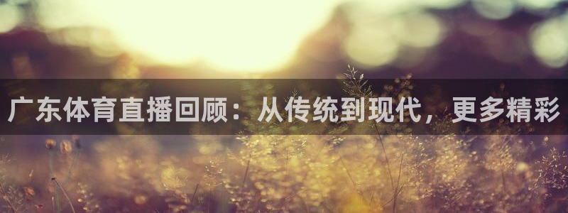 广东体育直播回顾：从传统到现代，更多精彩