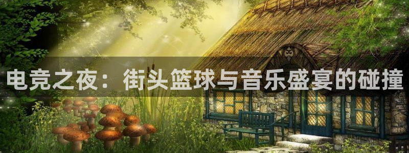 电竞之夜：街头篮球与音乐盛宴的碰撞