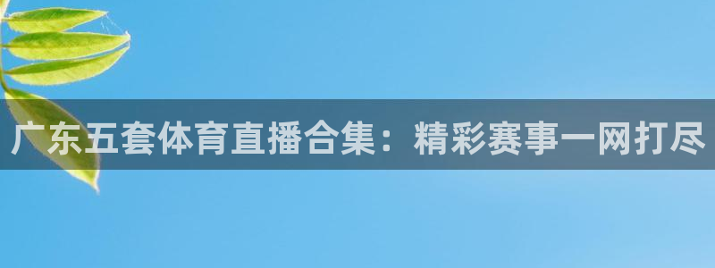 广东五套体育直播合集：精彩赛事一网打尽