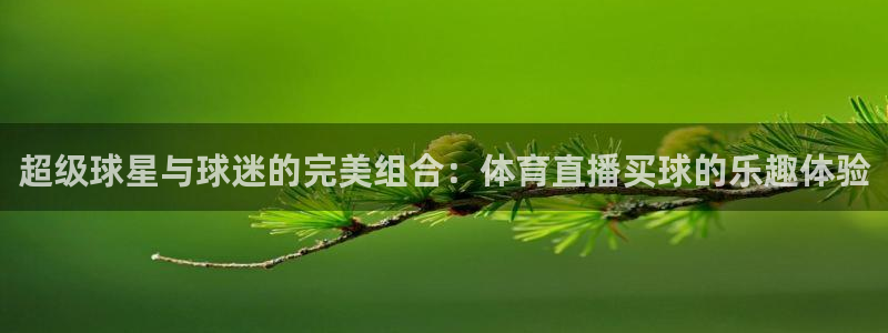 超级球星与球迷的完美组合：体育直播买球的乐趣体验