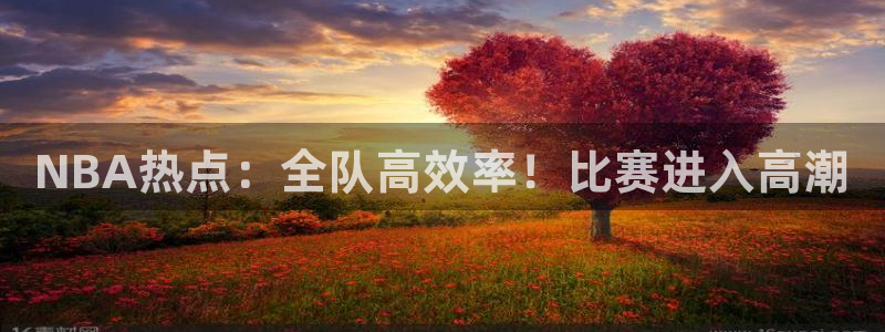 NBA热点：全队高效率！比赛进入高潮