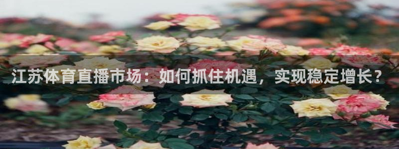 江苏体育直播市场：如何抓住机遇，实现稳定增长？