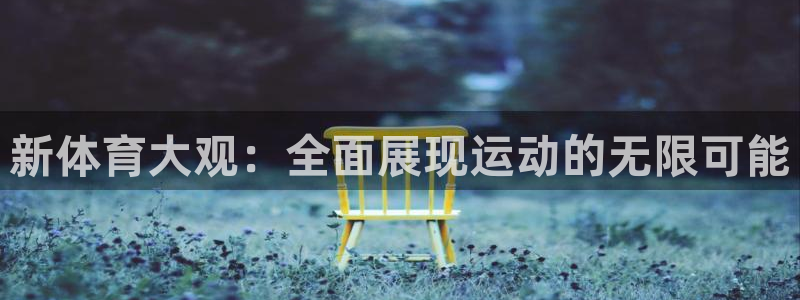 新体育大观：全面展现运动的无限可能