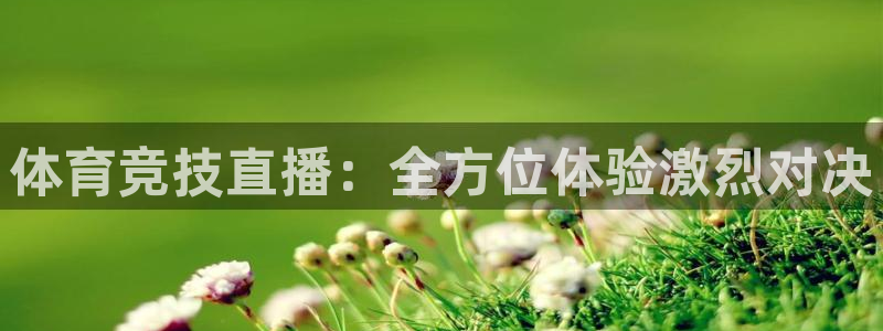 体育竞技直播：全方位体验激烈对决