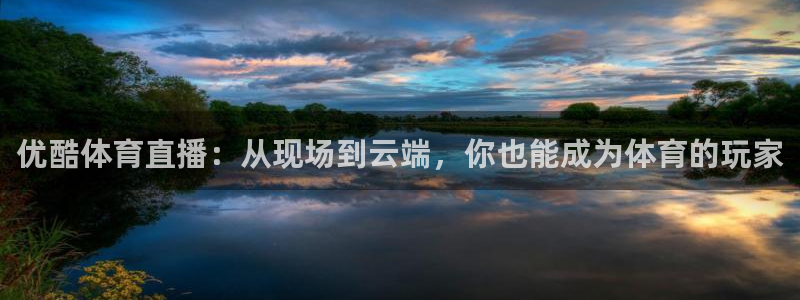 优酷体育直播：从现场到云端，你也能成为体育的玩家
