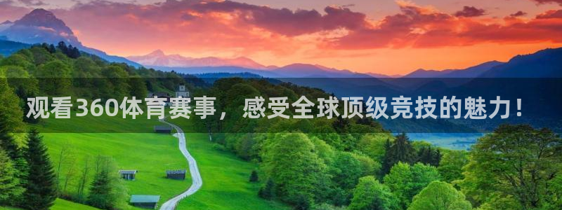 观看360体育赛事，感受全球顶级竞技的魅力！
