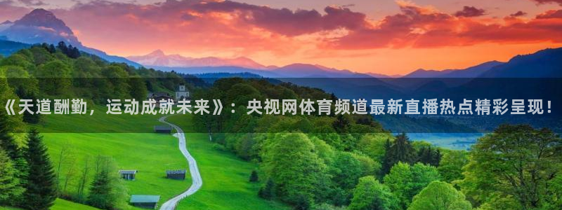 《天道酬勤，运动成就未来》：央视网体育频道最新直播热点精彩呈现！